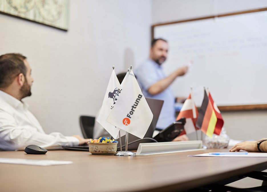 Management-Beratungsdienste